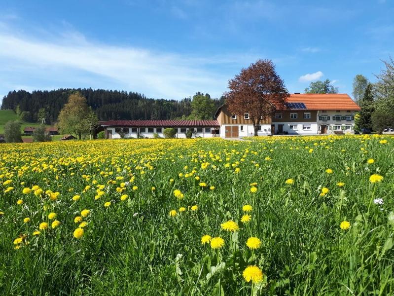 Ferienhaus Rasch 마이어호펜 외부 사진